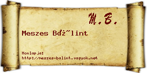 Meszes Bálint névjegykártya