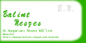 balint meszes business card